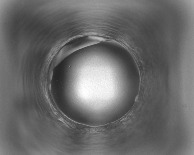 X0000066960241200603311430