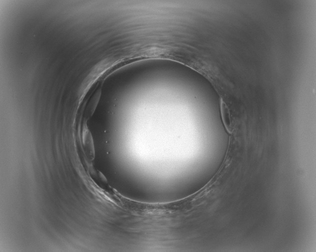 X0000066960242200603311430