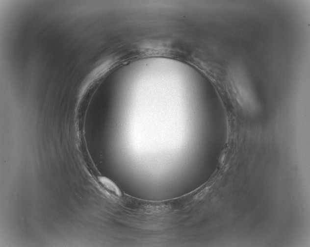 X0000066960245200603311430