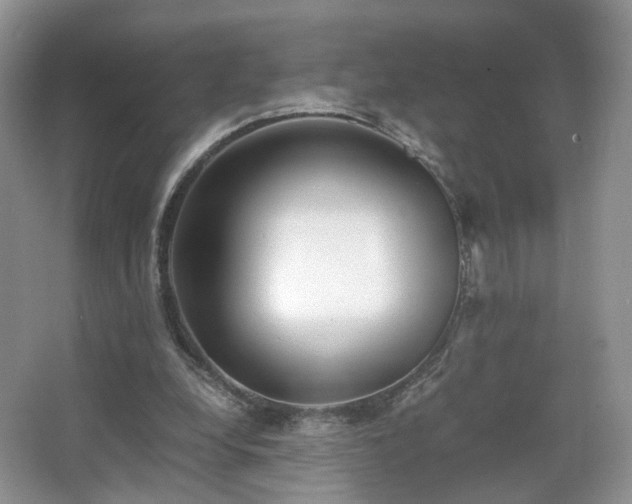 X0000066960248200603311430