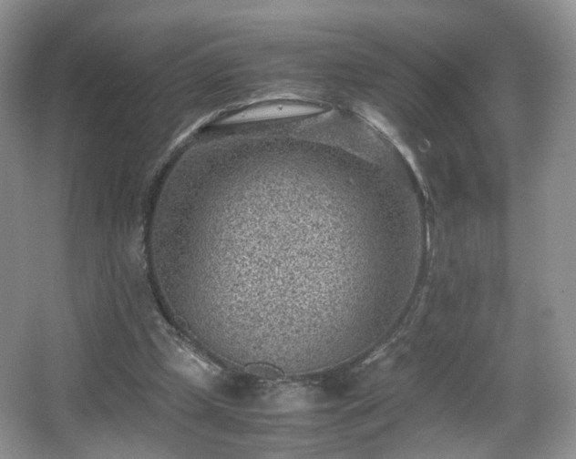 X0000066960249200603311430