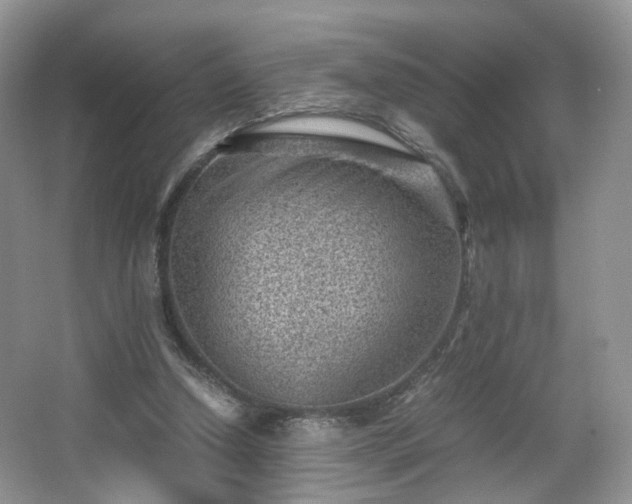 X0000066960250200603311430