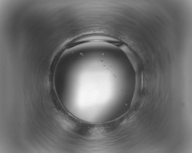 X0000066960252200603311431