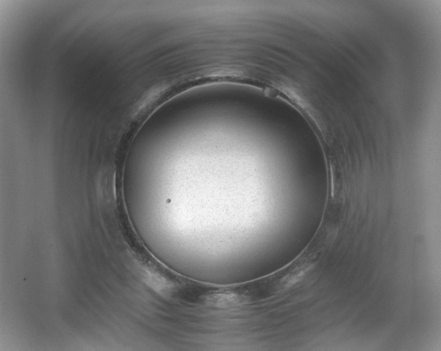 X0000066960253200603311431