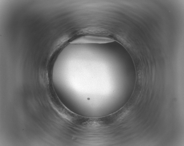 X0000066960254200603311431