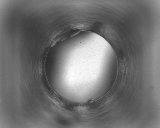 X0000066960255200603311431