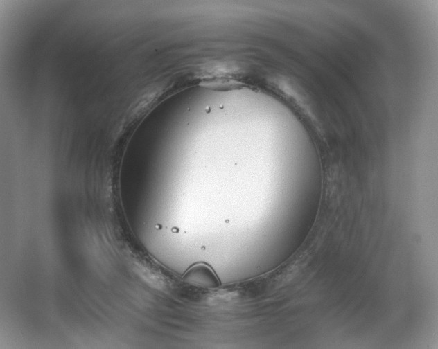 X0000066960257200603311431