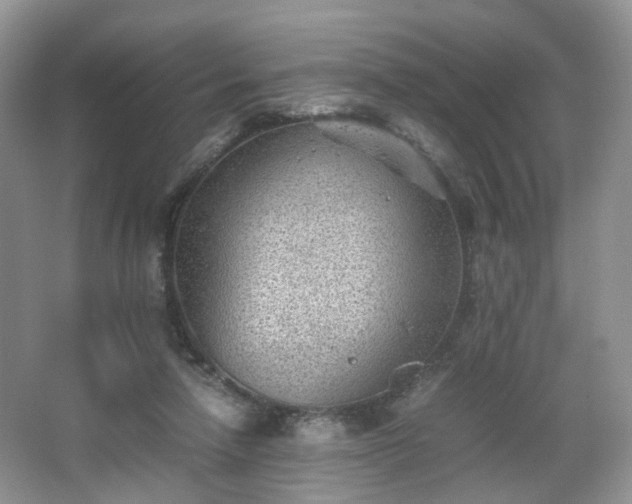 X0000066960258200603311431