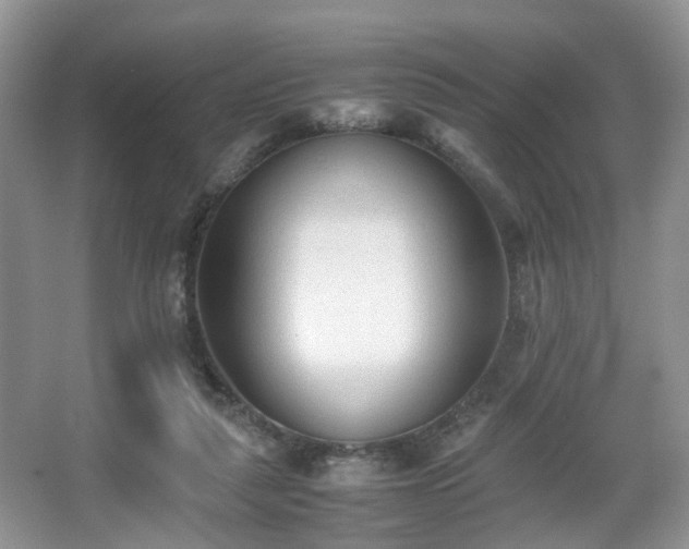 X0000066960259200603311431