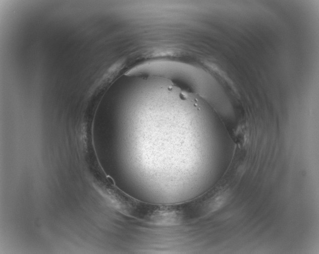 X0000066960260200603311431