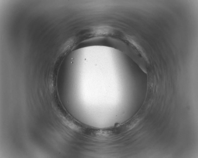 X0000066960261200603311431