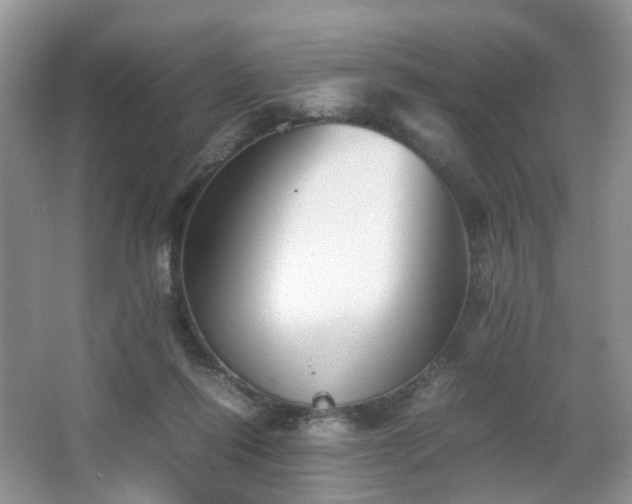 X0000066960262200603311431