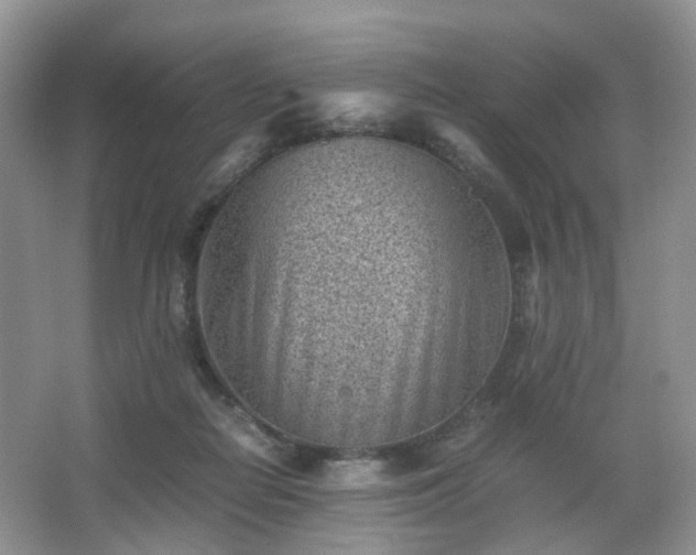 X0000066960266200603311431