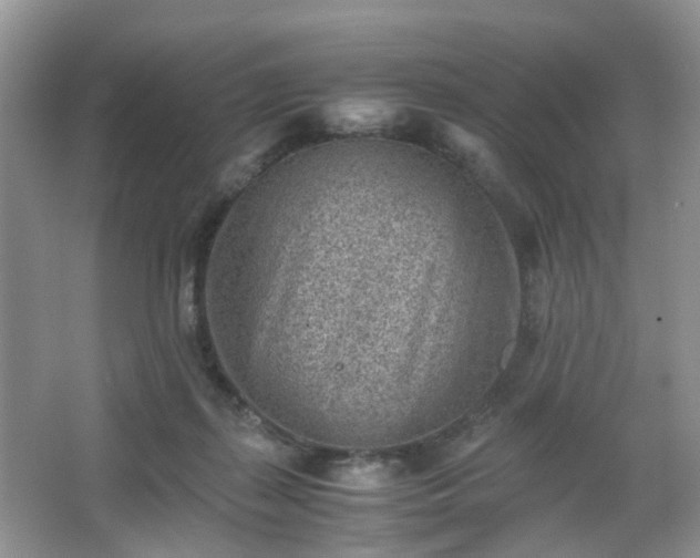 X0000066960267200603311431