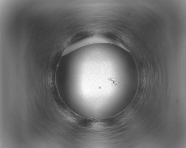 X0000066960268200603311431