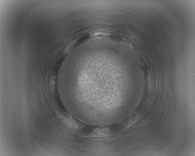 X0000066960271200603311431