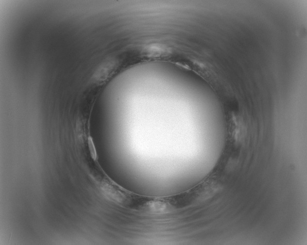 X0000066960272200603311431