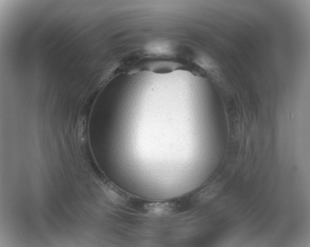 X0000066960273200603311431