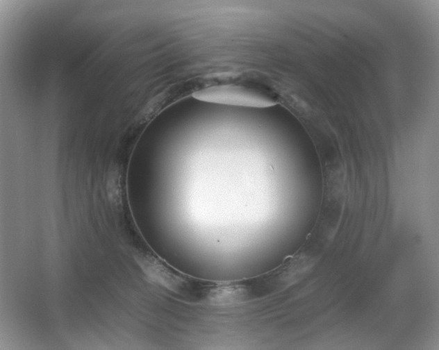 X0000066960274200603311431