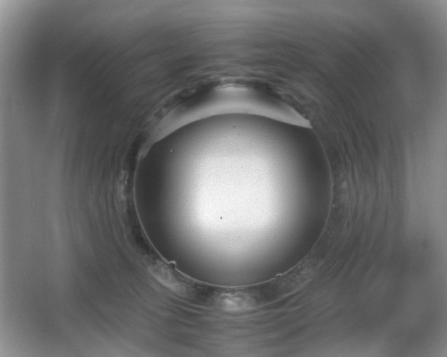 X0000066960275200603311431