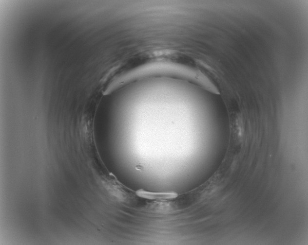 X0000066960276200603311431