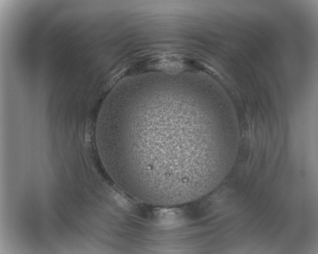 X0000066960277200603311431