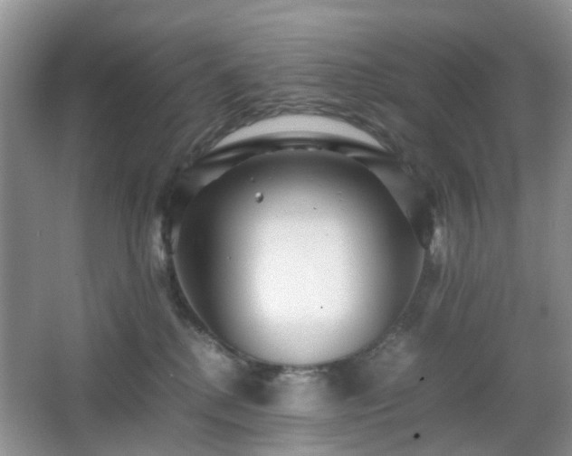 X0000066960280200603311431