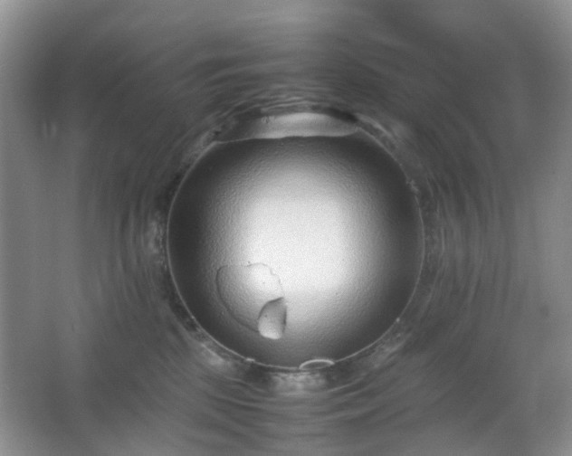 X0000066960281200603311431