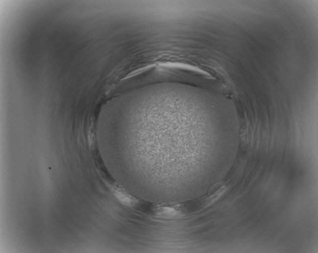 X0000066960285200603311431