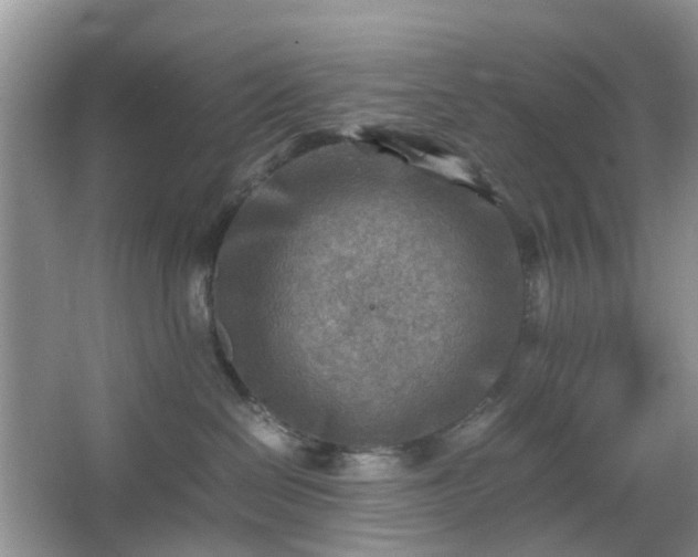 X0000066960286200603311431