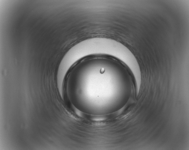 X0000066960287200603311431