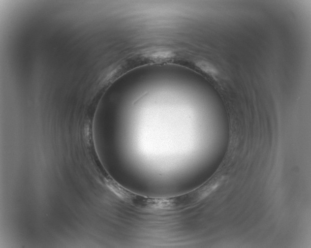 X0000066960288200603311431