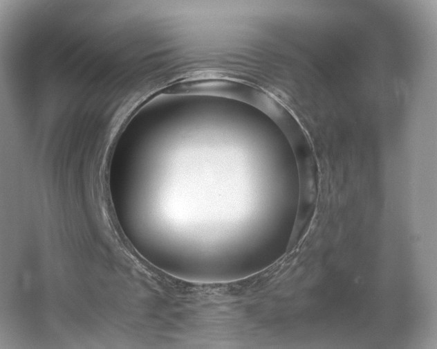 X0000066960289200603311430