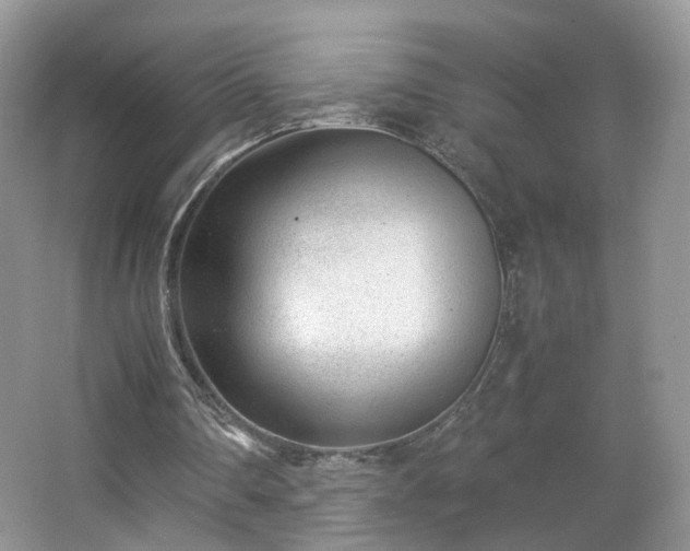 X0000066960290200603311430