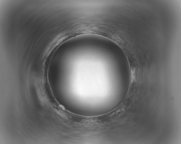 X0000066960291200603311430