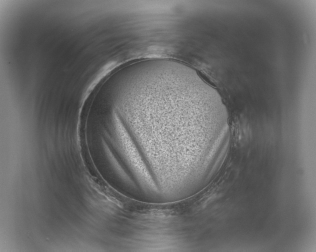 X0000066960292200603311430