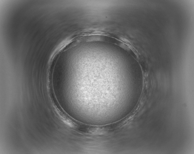 X0000066960293200603311430