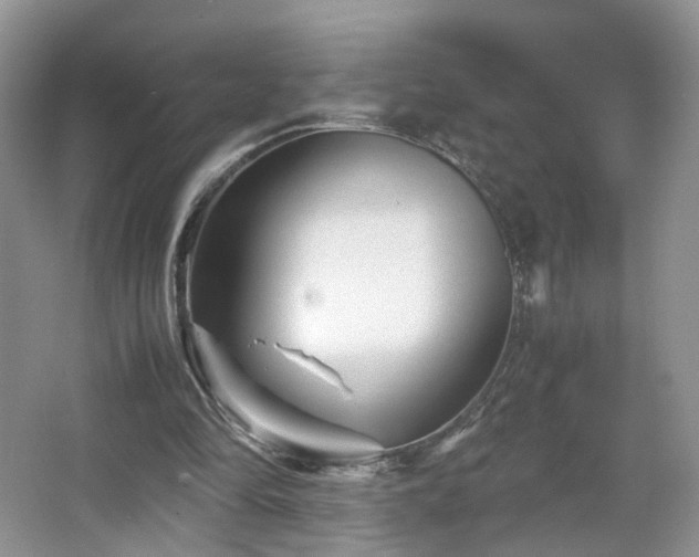 X0000066960294200603311430