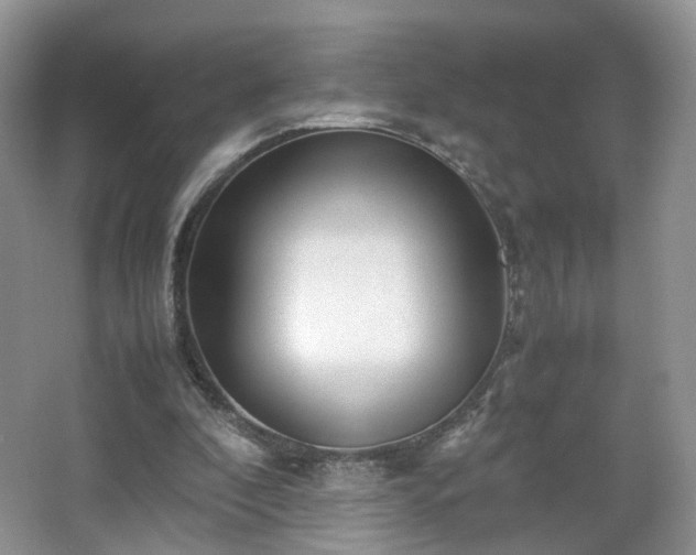 X0000066960296200603311430