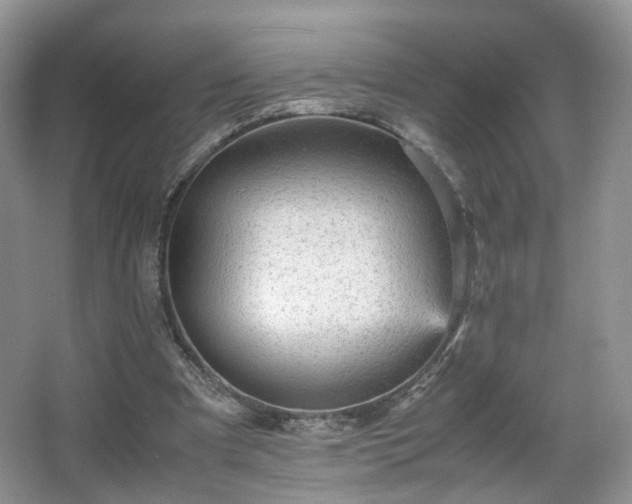 X0000066960297200603311430