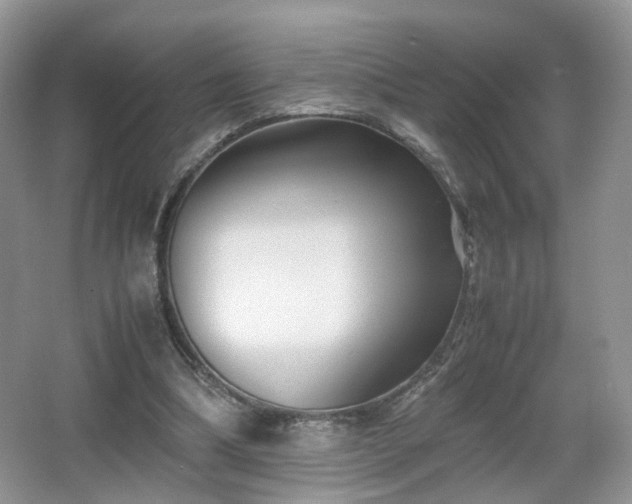 X0000066960298200603311430