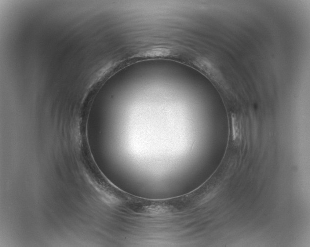 X0000066960300200603311430