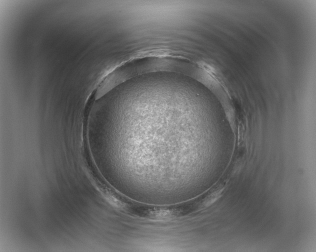 X0000066960301200603311430