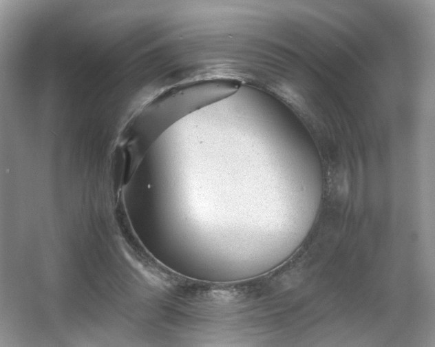 X0000066960302200603311430