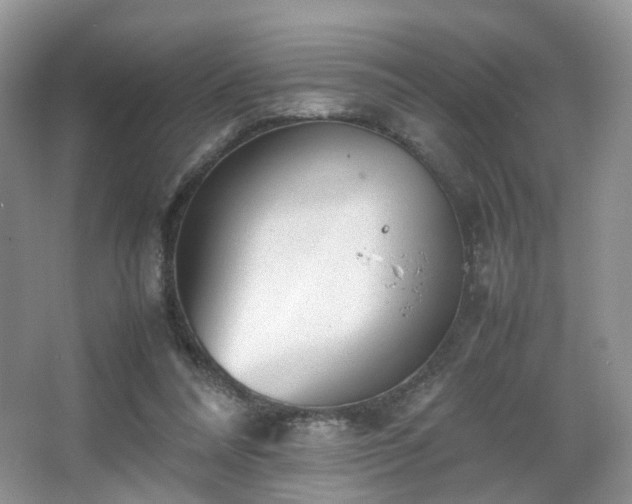 X0000066960304200603311430