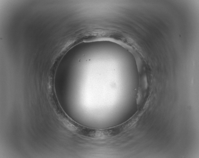 X0000066960305200603311430