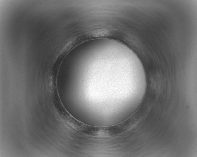 X0000066960308200603311430