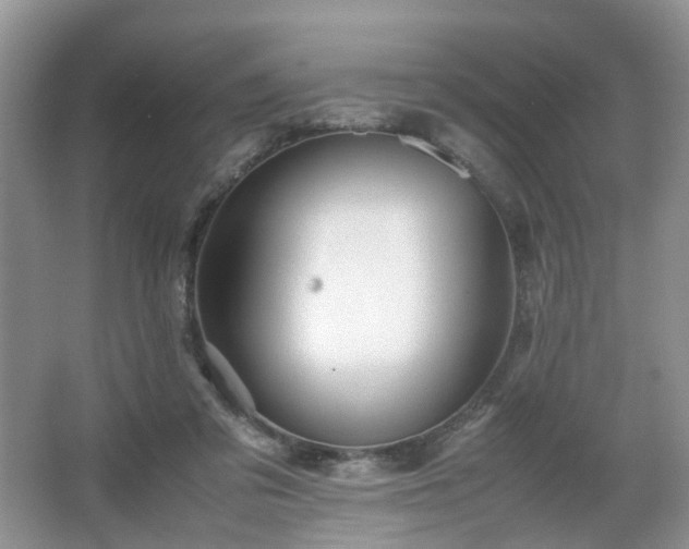 X0000066960309200603311430