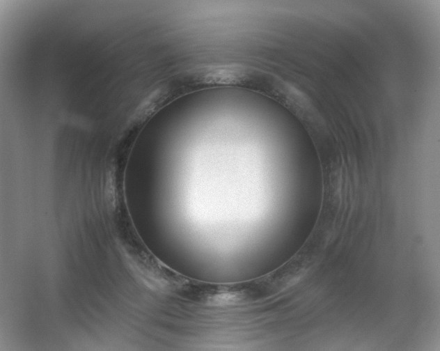 X0000066960312200603311430