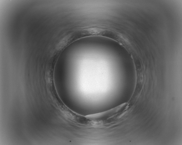 X0000066960317200603311430